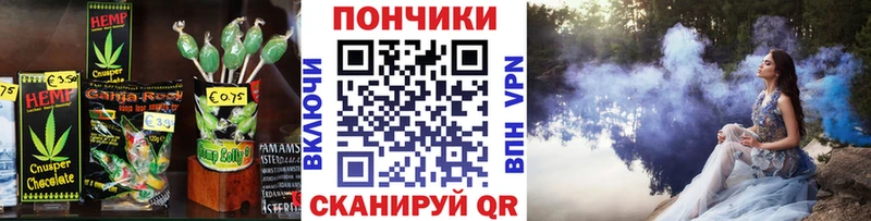shop состав  Новозыбков  Еда ТГК конопля  закладка 