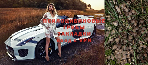 дурь Алзамай
