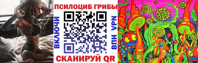 блэк спрут рабочий сайт  Новозыбков  Псилоцибиновые грибы Psilocybe  закладки 